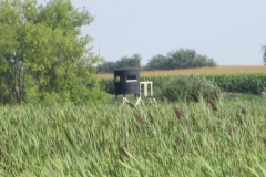 IMG_0034